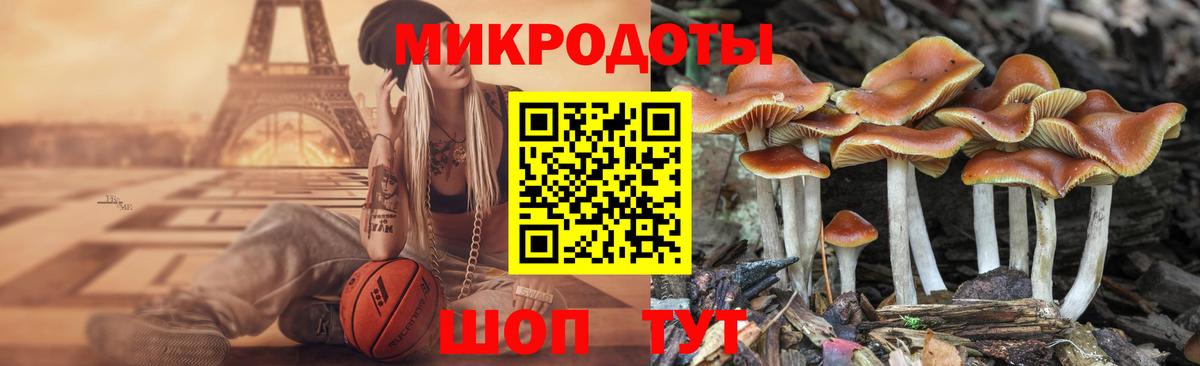 Галлюциногенные грибы Cubensis  Вход с VPN  Тайшет 
